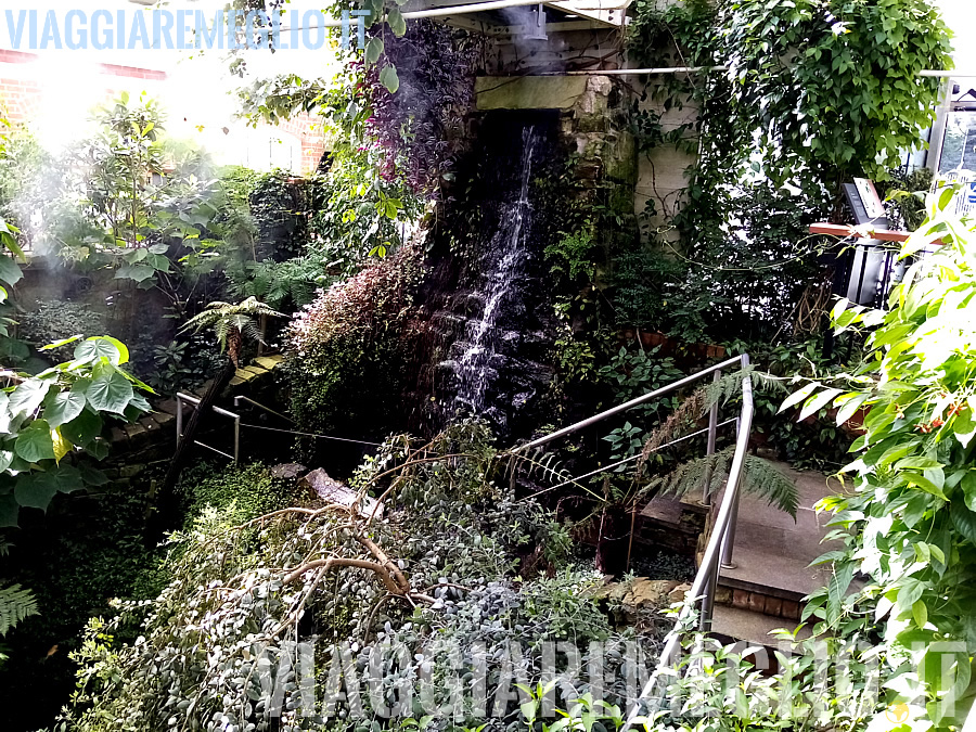 Orto botanico di Belfast, Irlanda del Nord